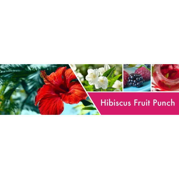 Goose Creek Candle® Hibiscus Fruit Punch flüssige Schaum-Handseife 270ml