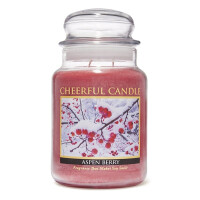 Aspen Berry 2-Docht-Kerze 680g