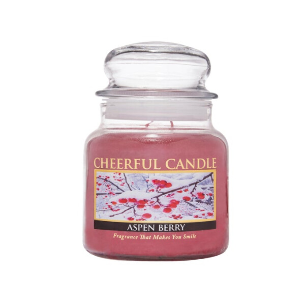 Aspen Berry 2-Docht-Kerze 453g