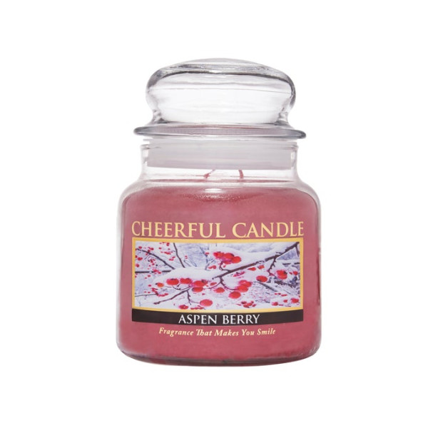 Cheerful Candle Aspen Berry 2-Docht-Kerze 453g