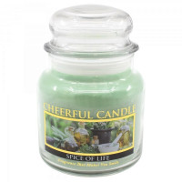 Cheerful Candle Spice of Life 2-Docht-Kerze 453g