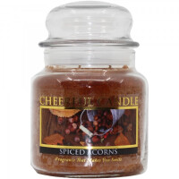 Spiced Acorns 2-Docht-Kerze 453g