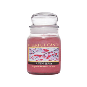 Cheerful Candle Aspen Berry 1-Docht-Kerze 170g