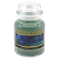 Moonlit Walk 1-Docht-Kerze 170g