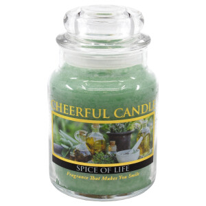 Spice of Life 1-Docht-Kerze 170g