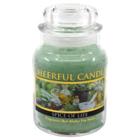 Cheerful Candle Spice of Life 1-Docht-Kerze 170g
