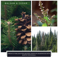 Balsam & Cedar 1-Docht-Kerze 170g