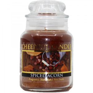 Cheerful Candle Spiced Acorns 1-Docht-Kerze 170g