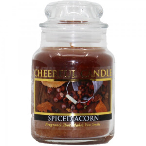 Spiced Acorns 1-Docht-Kerze 170g