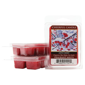 Cheerful Candle Aspen Berry Wachsmelt 68g