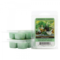 Spice of Life Wachsmelt 68g