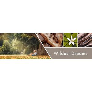 Goose Creek Candle® Wildest Dreams flüssige Schaum-Handseife 270ml
