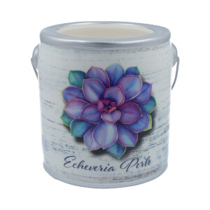 Lemon Blossoms - Echeveria Perle Farm Fresh Collection 566g