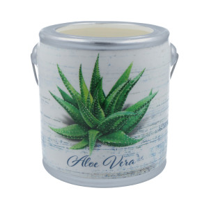 Cheerful Candle Aloe Vera - Sage & Citrus Farm Fresh Collection 566g