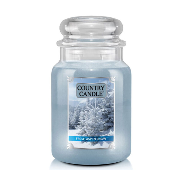 Fresh Aspen Snow 2-Docht-Kerze 652g