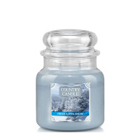 Fresh Aspen Snow 2-Docht-Kerze 453g