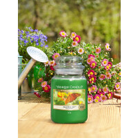 Yankee Candle® Beautiful Day Großes Glas 623g