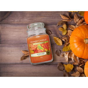 Yankee Candle® Autumn Leaves* Großes Glas 623g