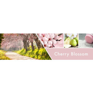Goose Creek Candle® Cherry Blossom flüssige Schaum-Handseife 270ml