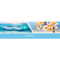 Breeze Wachsmelt 59g