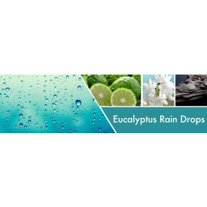 Goose Creek Candle® Eucalyptus Rain Drops Wachsmelt 59g