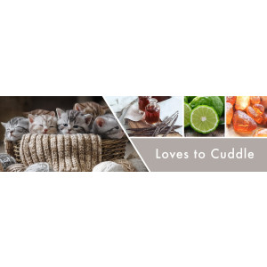 Goose Creek Candle® Loves to Cuddle 1-Docht-Kerze 198g