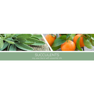 Goose Creek Candle® Succulents 1-Docht-Kerze 198g