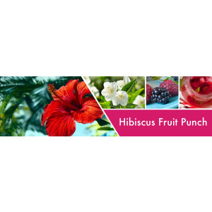 Goose Creek Candle® Hibiscus Fruit Punch 1-Docht-Kerze 198g