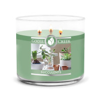 Goose Creek Candle® Succulents 3-Docht-Kerze 411g
