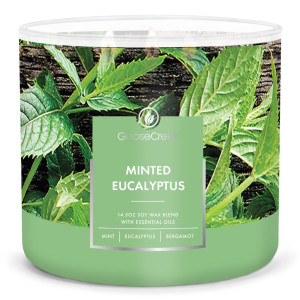Goose Creek Candle® Minted Eucalyptus 3-Docht-Kerze 411g