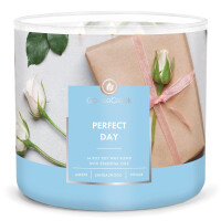 Perfect Day 3-Docht-Kerze 411g
