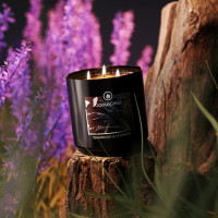 Goose Creek Candle® Teakwood & Lavender - Mens Collection 3-Docht-Kerze 411g