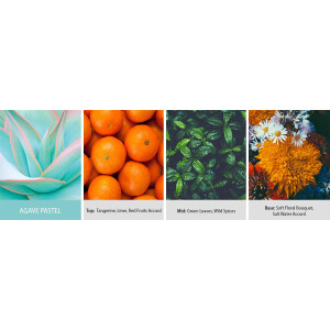 Agave Pastel 2-Docht-Kerze 623g