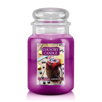 Blueberry Lemonade 2-Docht-Kerze 652g