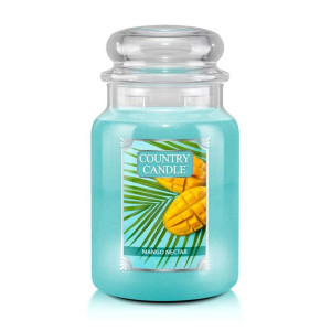 Country Candle™ Mango Nectar 2-Docht-Kerze 652g