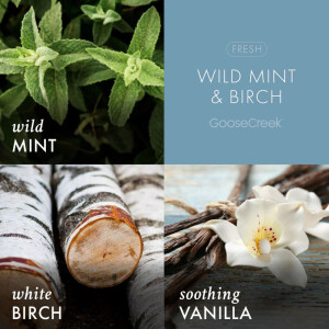 Wild Mint &amp; Birch - Clarity 3-Docht-Kerze 411g