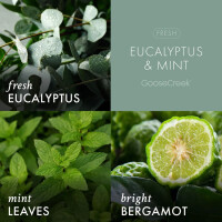Eucalyptus & Mint - Soothe 3-Docht-Kerze 411g