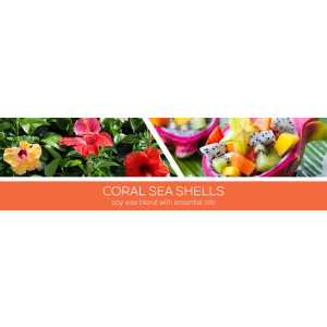Goose Creek Candle® Coral Sea Shells 3-Docht-Kerze 411g