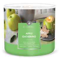 Goose Creek Candle® Apple Gathering 3-Docht-Kerze 411g