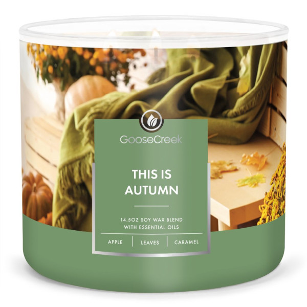 Goose Creek Candle® This is Autumn 3-Docht-Kerze 411g