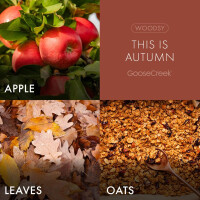 This is Autumn 3-Docht-Kerze 411g