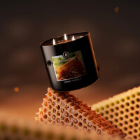 Honey Vanilla - Mens Collection 3-Docht-Kerze 411g
