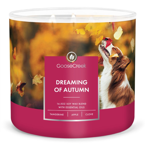 Goose Creek Candle® Dreaming of Autumn 3-Docht-Kerze 411g