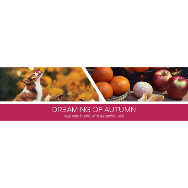Goose Creek Candle® Dreaming of Autumn 3-Docht-Kerze 411g