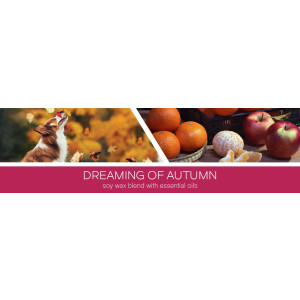 Goose Creek Candle® Dreaming of Autumn 3-Docht-Kerze...