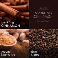 Sparkling Cinnamon 3-Docht-Kerze 411g