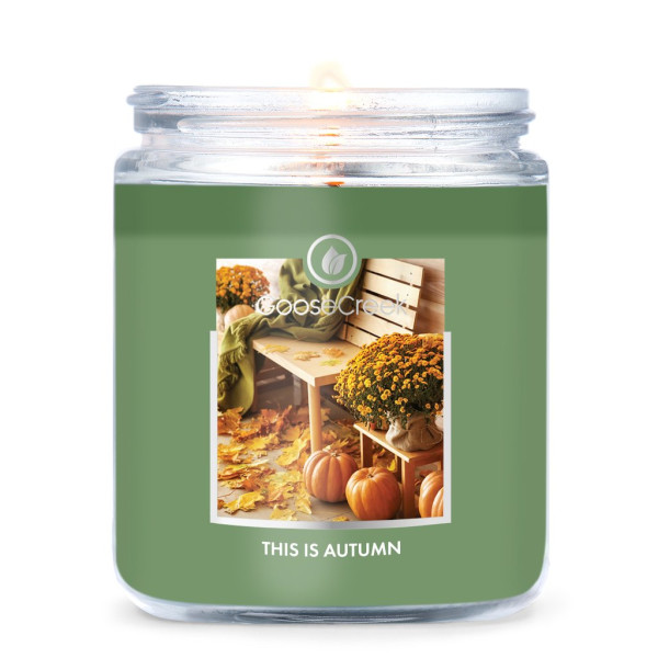 Goose Creek Candle® This is Autumn 1-Docht-Kerze 198g