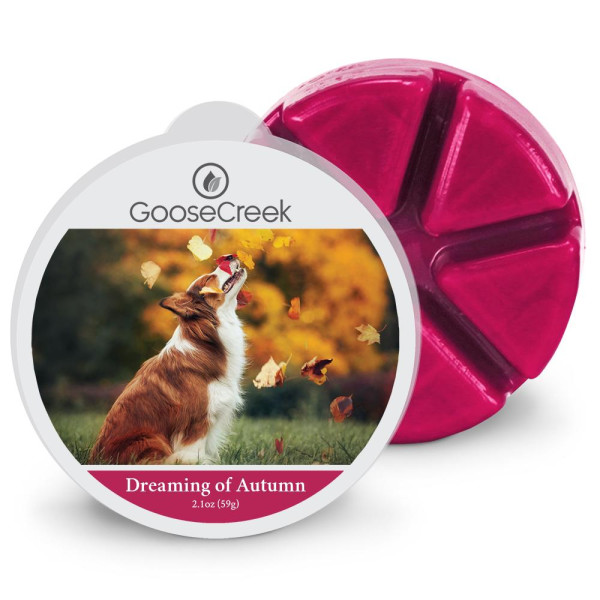 Goose Creek Candle® Dreaming of Autumn Wachsmelt 59g