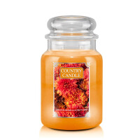 Golden Mums & Honeycrisp 2-Docht-Kerze 652g