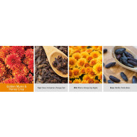 Golden Mums & Honeycrisp 2-Docht-Kerze 652g